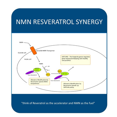 MAAC10 NMN & Resveratrol NAD+ Combo Pack