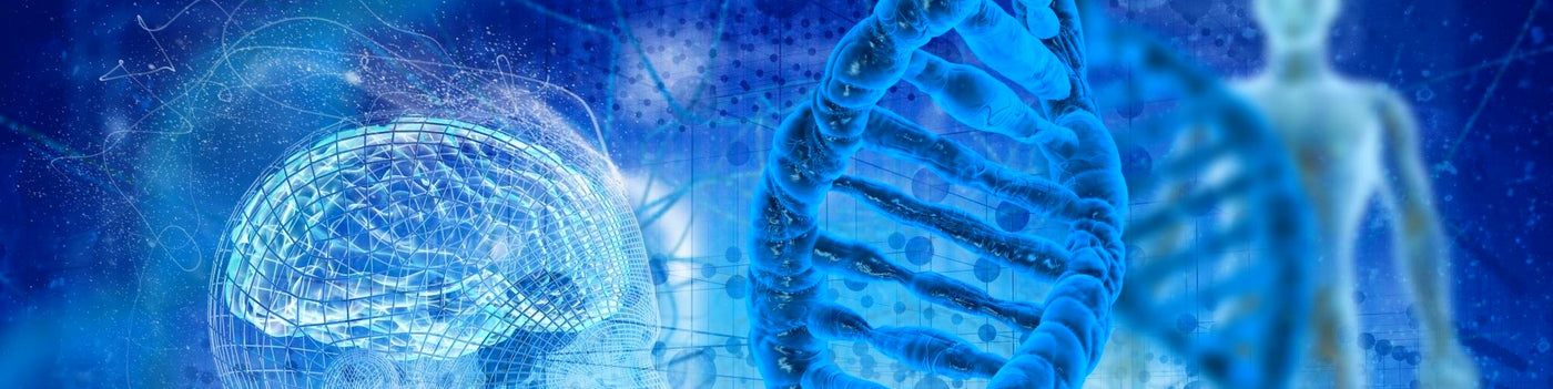 nmn nicotinamide mononucleotide 