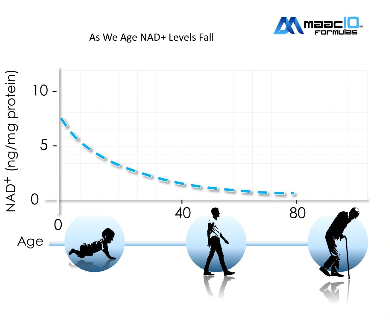 NAD+ & Aging