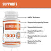 MAAC10 Berberine 1500mg Serving (3x500mg Caps).